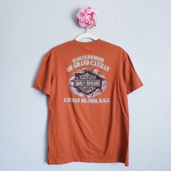 Harley Davidson‎ - Picture 5 of 6